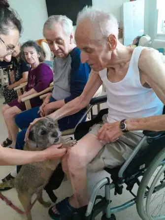 512557927_668128542895522_4299068401569033957_n