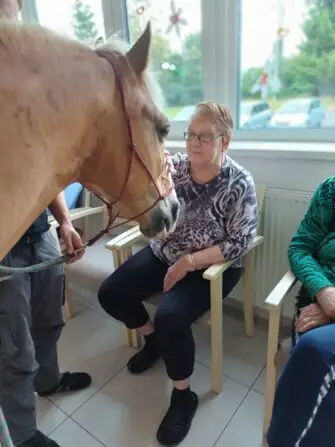 517597231_1162463029254063_1228265005202884632_n