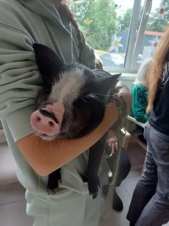 517736219_1162463185920714_7093321913813934255_n