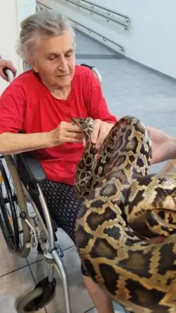 518026163_717018157707842_5525445116893093579_n