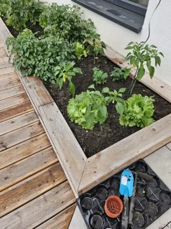 6a5e72a5-c4ad-476a-9e1c-8ceefb0141b4