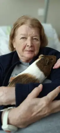 Obrázek WhatsApp, 2025-05-19 v 15.16.34_c8d16bd1