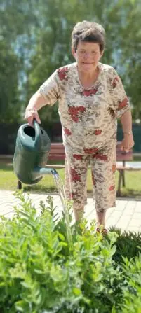 Obrázek WhatsApp, 2025-06-13 v 14.44.14_dccdec7c