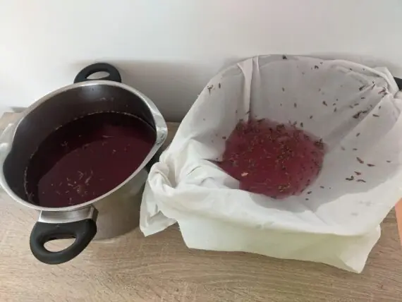 PXL_20250711_123213066