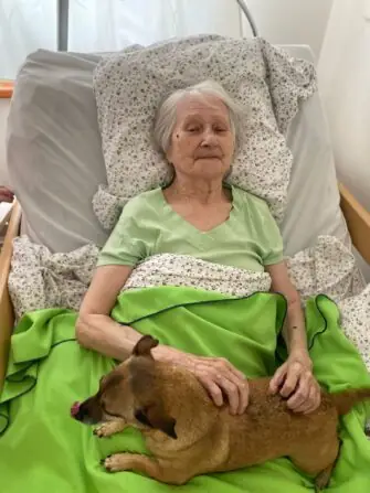 a41ed54e-d392-4e4a-b4d0-02708a163d00