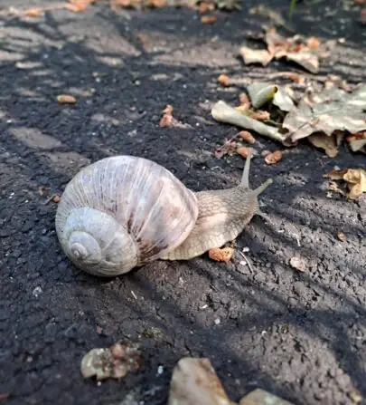 ab6edff1-be6c-45f5-8c1b-d243e4453bd7