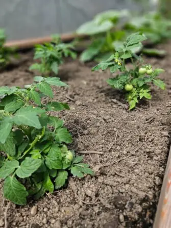 bdc96f22-1d57-4eaf-9436-bc3d65a330ff