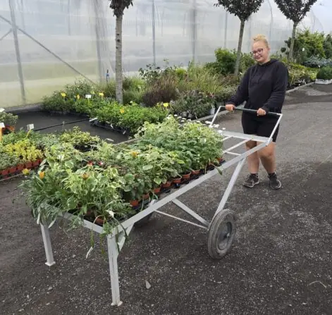 c6647c3c-fb67-4d8d-92cc-96ac11d716d2