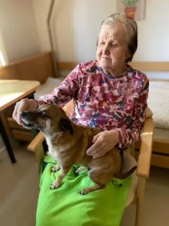 d4c537cf-b87c-49e4-80e7-8aa35a5d0e7b