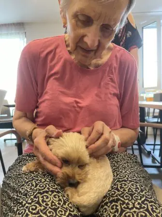 d83c5a57-6baa-45f6-a87a-da86941b8eb1