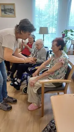 original-D477FC13-03EE-417A-BE33-07ACA029A3EA