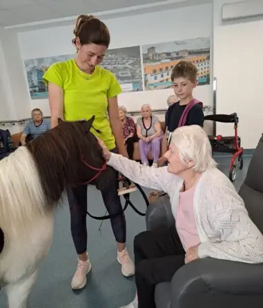 0cddfaf3-298f-43c6-9401-fb896d68a6c0