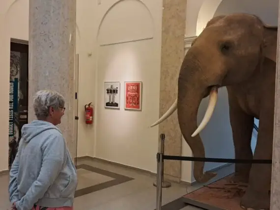 0da8427f-e3b2-4f7d-bf75-822ad8924def