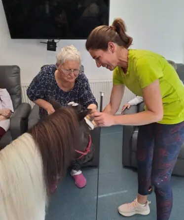 1e89e7e2-0459-456e-8799-10d9f94cbcc6