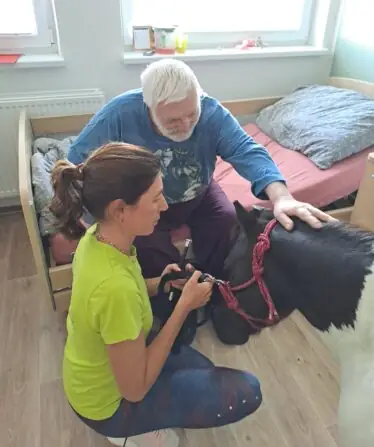 28ae702d-edbc-4aca-9a5e-0aafd7f4702e