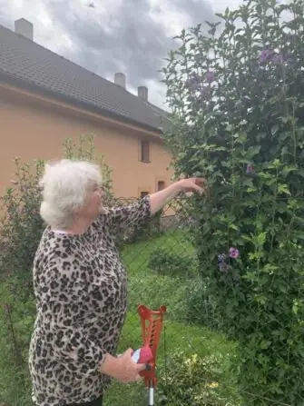 2e613910-8791-4309-81df-cbccd8180620