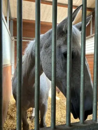 2f08cf15-5f43-4746-8353-3621da78dbbf