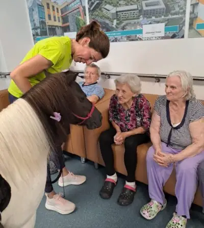 342f402f-a166-443e-bc57-5b427911a699