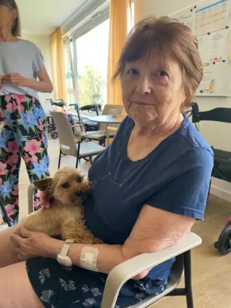 3E99E2A7-4ECB-4148-96CF-9F8161EB64F4