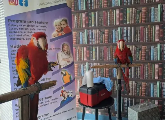 4f37c95c-969f-47f6-922d-93ff35007387