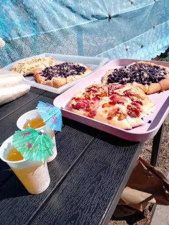 537370462_1196732142493818_8172771083289607436_n