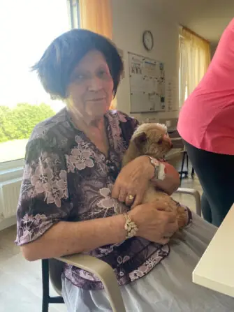 55BCB6D9-09C3-49CB-AACA-657E871416F3