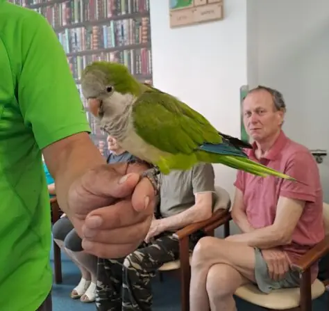 5d6bc0ea-fce5-405e-8606-0f3f5a8b4412