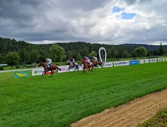 5ebc2cb0-066d-4e5d-817c-48ac61a70146