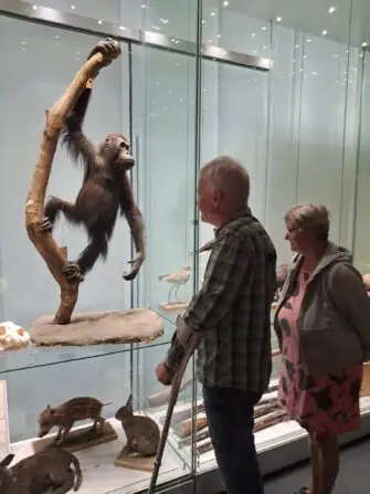 7c8ca373-14fd-40ab-934c-59c275811ba6