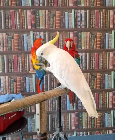 812900b9-4d8f-4c5e-ac10-02abbffde9d8