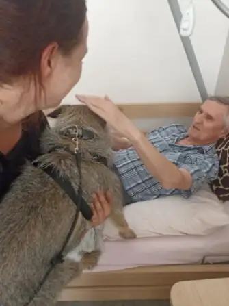 8407AA19-ECA2-4BB7-85F9-563548DF9869