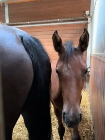 89ff025b-fa14-48cc-8810-daf4eee59921