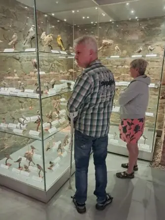 8ca7a339-809e-4bc4-abdb-aa3dd6867b03