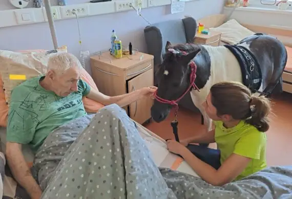 98e7f62d-539a-4425-8eba-5a50a89ba3cd