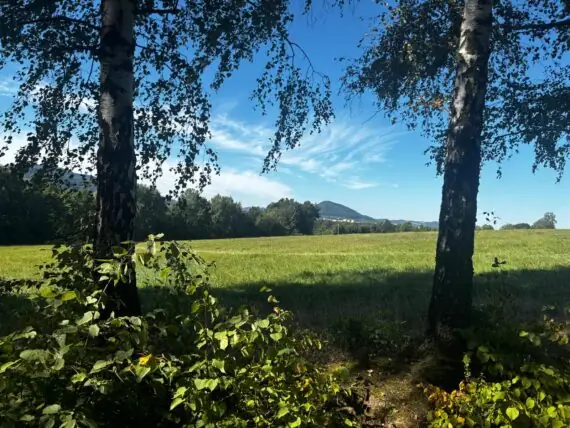 IMG-20250820-WA0001 - kopie