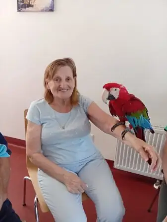 Obrázek WhatsApp, 2025-08-15 v 15.21.55_fffb1478