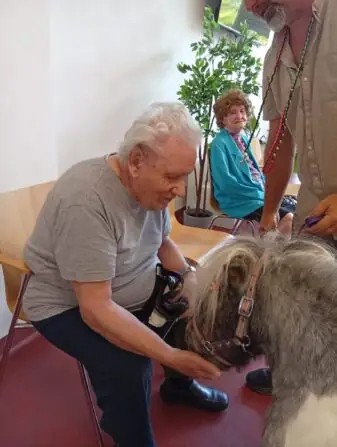 Obrázek WhatsApp, 2025-08-28 v 10.14.45_1c7495b8