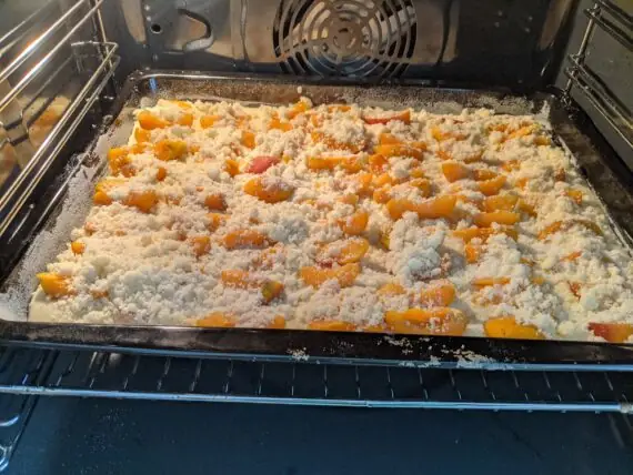 PXL_20250723_081924385