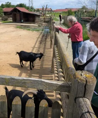 PXL_20250729_084810913