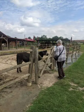 PXL_20250729_085033868