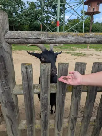 PXL_20250729_085148594