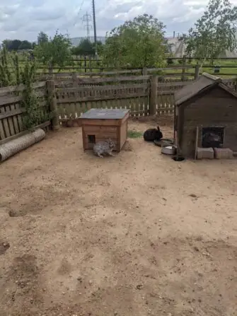 PXL_20250729_085248767