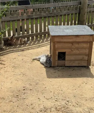 PXL_20250729_085826097