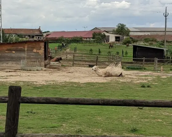 PXL_20250729_093515339