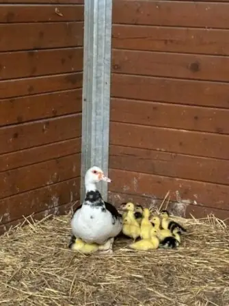 a956e1f5-9354-40d4-9cae-2f5cc89d5580