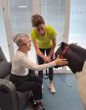 b6952175-2e93-4e64-af13-4ccfd1549210