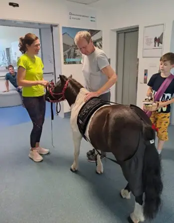 bdb4527c-d1af-4606-abf7-9cd1121776c1