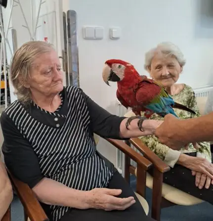 e43cf239-9fbb-40a0-a763-49f45035bbd7