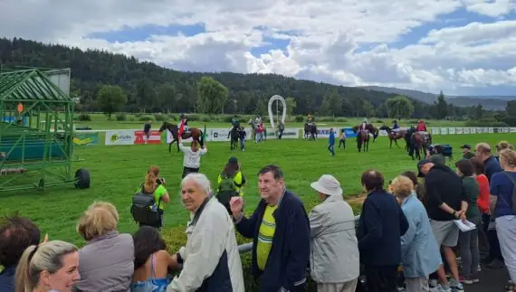 eae13a69-8c7c-4ba1-b127-56cb12babd3d