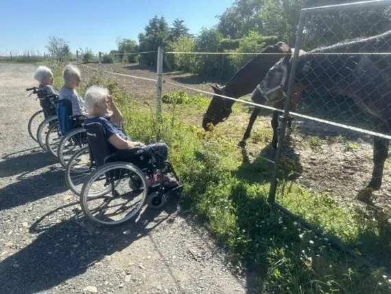 výlet ke koním (1)